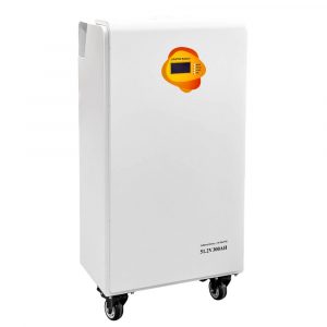 51.2V 300Ah Wall-Mounted LiFePO4 Battery | 15kWh High-Capacity Smart Energy Storage with BMS, RS485/CAN & LCD